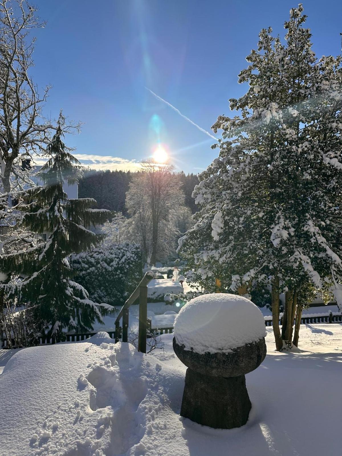 Boutique Hotel Dorer Schoenwald im Schwarzwald Exterior photo