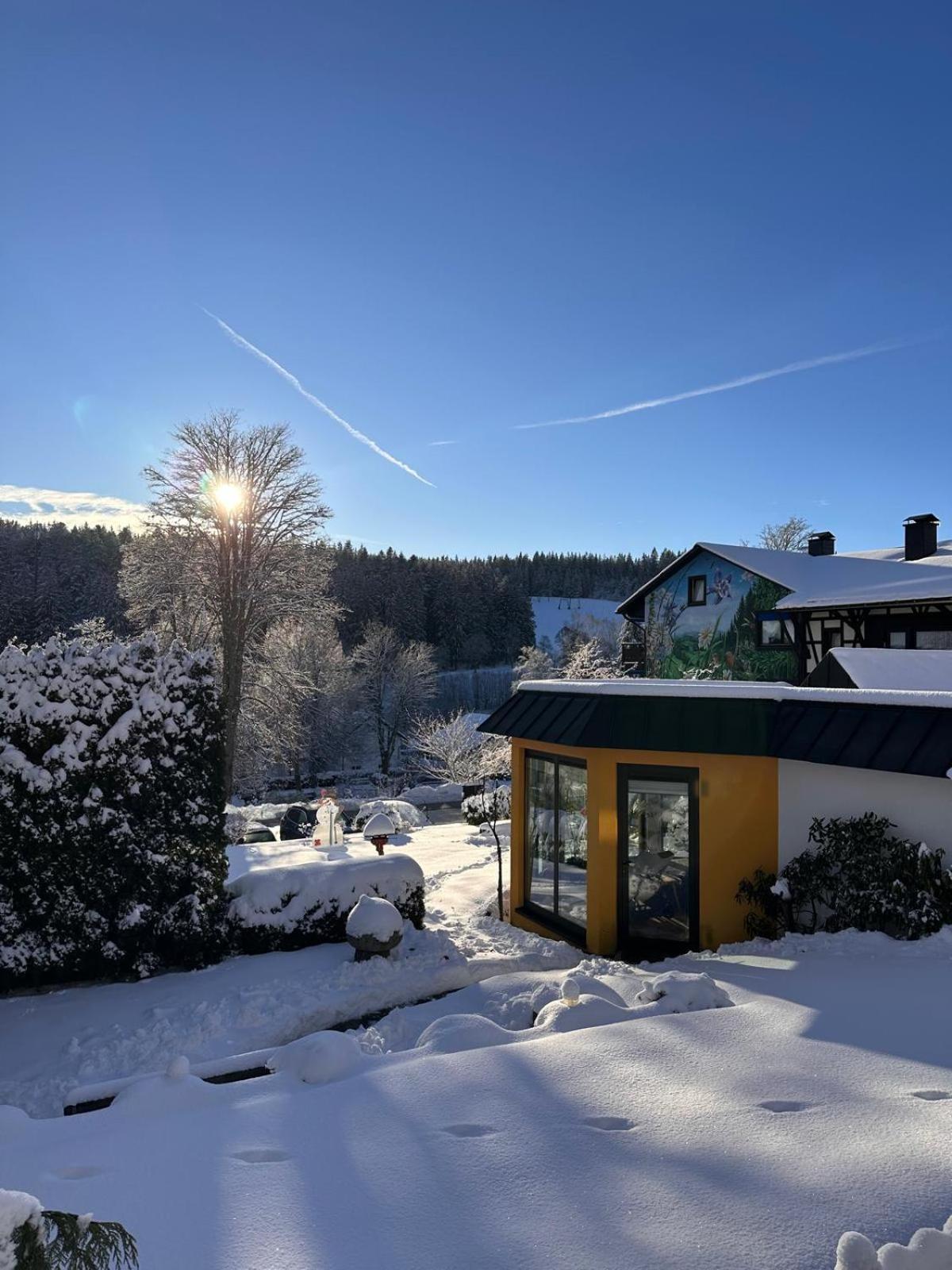 Boutique Hotel Dorer Schoenwald im Schwarzwald Exterior photo